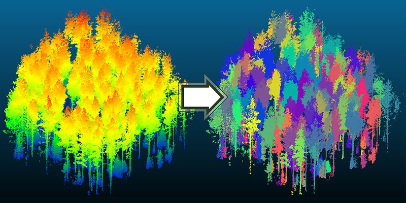 Purdue team introduces advance in automatic forest mapping technology – Purdue University